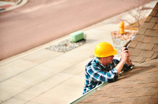 Best Roof Gutter Cleaning  in Damascus, MD